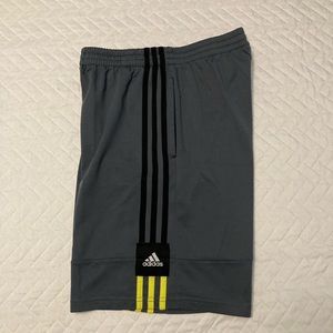 Gray boys Adidas gym shorts.
